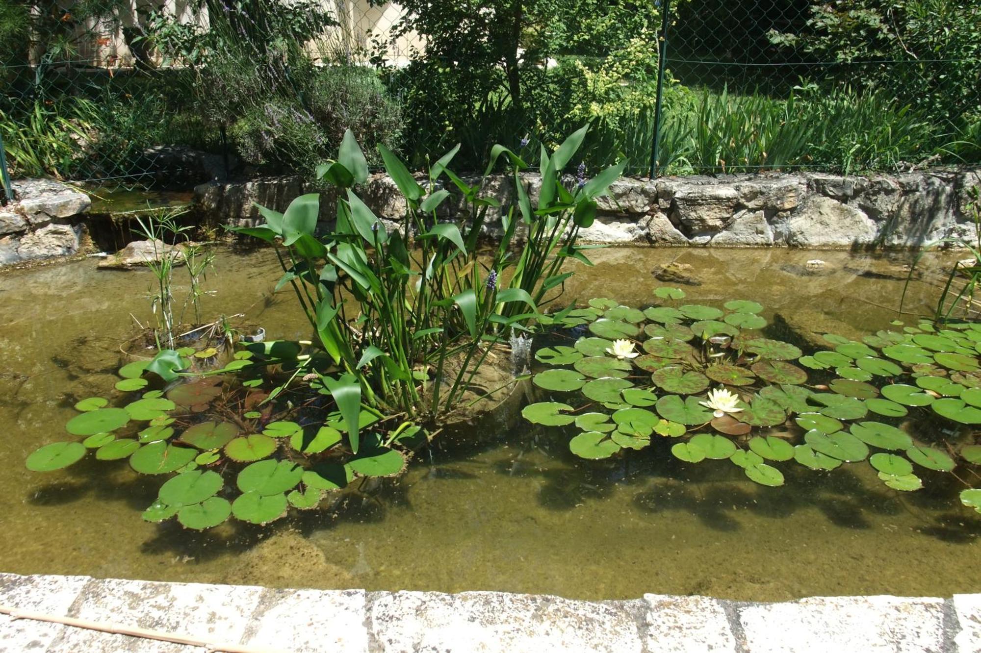 Gite La Paillote Montauroux Bagian luar foto
